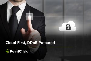 ddos_prepared-min